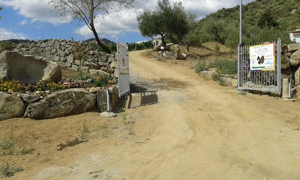 Agriturismo Locoe Oliena Buitenkant foto