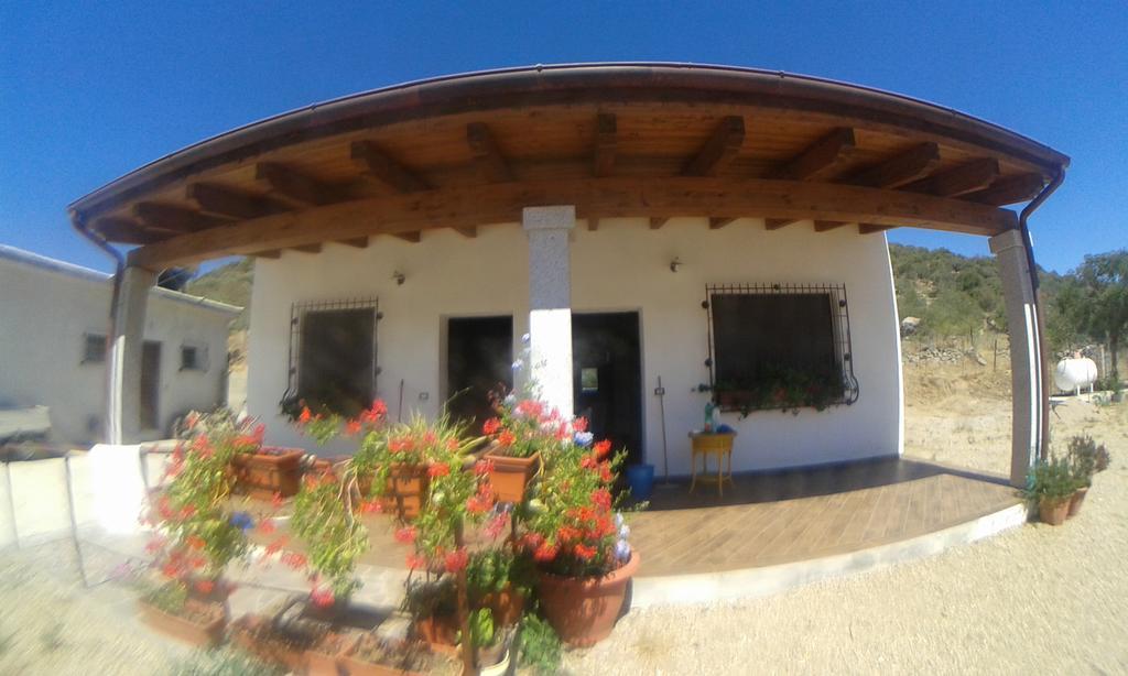 Agriturismo Locoe Oliena Buitenkant foto