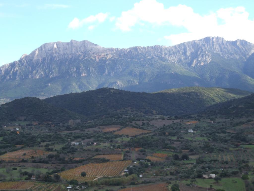 Agriturismo Locoe Oliena Buitenkant foto